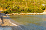 Tzortzi | Alonissos Sporades | Greece  Photo 10 - Photo JustGreece.com