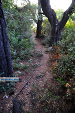 JustGreece.com Agioi Anargiri monastery | Alonissos Sporades | Greece  Photo 4 - Foto van JustGreece.com