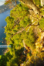 JustGreece.com View from Agioi Anargiri monastery | Alonissos Sporades | Greece  Photo 4 - Foto van JustGreece.com