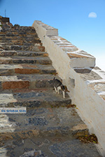 JustGreece.com Hozoviotissa Amorgos - Island of Amorgos - Cyclades Photo 81 - Foto van JustGreece.com