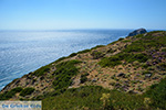 Agia Anna Amorgos - Island of Amorgos - Cyclades Photo 130 - Photo JustGreece.com