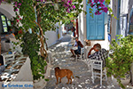 Amorgos town (Chora) - Island of Amorgos - Cyclades Photo 214 - Photo JustGreece.com