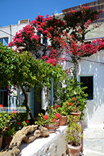 JustGreece.com Amorgos town (Chora) - Island of Amorgos - Cyclades Photo 215 - Foto van JustGreece.com