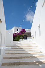 Tholaria Amorgos - Island of Amorgos - Cyclades Greece Photo 281 - Photo JustGreece.com