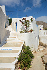 JustGreece.com Tholaria Amorgos - Island of Amorgos - Cyclades Greece Photo 283 - Foto van JustGreece.com