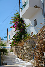 Tholaria Amorgos - Island of Amorgos - Cyclades Greece Photo 285 - Photo JustGreece.com