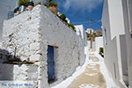Tholaria Amorgos - Island of Amorgos - Cyclades Greece Photo 286 - Photo JustGreece.com