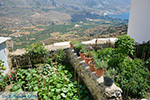 JustGreece.com Tholaria Amorgos - Island of Amorgos - Cyclades Greece Photo 287 - Foto van JustGreece.com