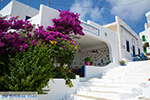 JustGreece.com Tholaria Amorgos - Island of Amorgos - Cyclades Greece Photo 289 - Foto van JustGreece.com