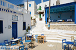 JustGreece.com Tholaria Amorgos - Island of Amorgos - Cyclades Greece Photo 292 - Foto van JustGreece.com