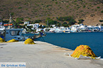 JustGreece.com Katapola Amorgos - Island of Amorgos - Cyclades Greece Photo 407 - Foto van JustGreece.com