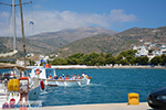 JustGreece.com Katapola Amorgos - Island of Amorgos - Cyclades Photo 542 - Foto van JustGreece.com