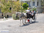 Paard and koets in Athens - Foto van JustGreece.com