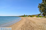 JustGreece.com Nea Makri near Athens | Attica - Central Greece | Greece  Photo 1 - Foto van JustGreece.com