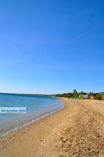 JustGreece.com Nea Makri near Athens | Attica - Central Greece | Greece  Photo 2 - Foto van JustGreece.com