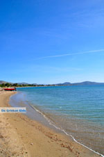 Nea Makri near Athens | Attica - Central Greece | Greece  Photo 3 - Photo JustGreece.com