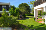 Hotel Golden Coast Nea Makri | Attica - Central Greece | Greece  Photo 8 - Photo JustGreece.com