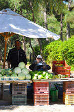 Groenteboer Nea Makri | Attica - Central Greece | Greece  Photo 2 - Foto van JustGreece.com