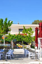 Nea Makri near Athens | Attica - Central Greece | Greece  Photo 9 - Photo JustGreece.com