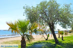 Nea Makri near Athens | Attica - Central Greece | Greece  Photo 10 - Photo JustGreece.com