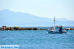 Nea Makri near Athens | Attica - Central Greece | Greece  Photo 17 - Photo JustGreece.com
