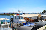 JustGreece.com Nea Makri near Athens | Attica - Central Greece | Greece  Photo 20 - Foto van JustGreece.com