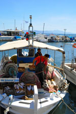 Nea Makri near Athens | Attica - Central Greece | Greece  Photo 21 - Photo JustGreece.com