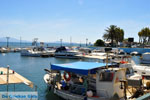 Nea Makri near Athens | Attica - Central Greece | Greece  Photo 22 - Photo JustGreece.com