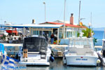 Nea Makri near Athens | Attica - Central Greece | Greece  Photo 23 - Foto van JustGreece.com