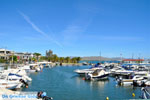 Nea Makri near Athens | Attica - Central Greece | Greece  Photo 26 - Photo JustGreece.com