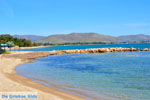 Nea Makri near Athens | Attica - Central Greece | Greece  Photo 28 - Photo JustGreece.com