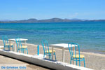 Nea Makri near Athens | Attica - Central Greece | Greece  Photo 29 - Photo JustGreece.com