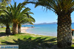JustGreece.com Nea Makri near Athens | Attica - Central Greece | Greece  Photo 34 - Foto van JustGreece.com