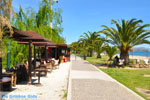 Nea Makri near Athens | Attica - Central Greece | Greece  Photo 37 - Photo JustGreece.com