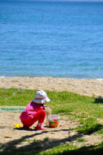 Nea Makri near Athens | Attica - Central Greece | Greece  Photo 38 - Photo JustGreece.com
