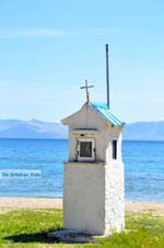 Nea Makri near Athens | Attica - Central Greece | Greece  Photo 40 - Photo JustGreece.com