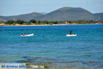 JustGreece.com Nea Makri near Athens | Attica - Central Greece | Greece  Photo 42 - Foto van JustGreece.com
