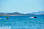 Nea Makri near Athens | Attica - Central Greece | Greece  Photo 43 - Photo JustGreece.com
