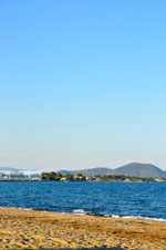 beach Nea Makri | Attica - Central Greece | Greece  Photo 2 - Photo JustGreece.com