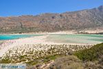 JustGreece.com Balos beach Crete - Greece - Balos - Gramvoussa Area Photo 68 - Foto van JustGreece.com