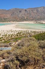 JustGreece.com Balos beach Crete - Greece - Balos - Gramvoussa Area Photo 79 - Foto van JustGreece.com