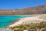 JustGreece.com Balos beach Crete - Greece - Balos - Gramvoussa Area Photo 82 - Foto van JustGreece.com
