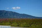 On the way to Giannitsa to Edessa | Pella Macedonia Photo 4 - Photo JustGreece.com