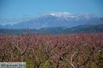 On the way to Giannitsa to Edessa | Pella Macedonia Photo 8 - Photo JustGreece.com