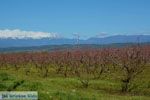 On the way to Giannitsa to Edessa | Pella Macedonia Photo 11 - Photo JustGreece.com