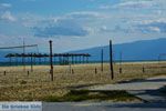 Beaches Pieria | Macedonia Photo 14 - Photo JustGreece.com