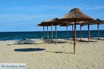 Beaches Pieria | Macedonia Photo 20 - Photo JustGreece.com