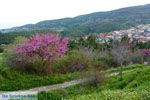 Neos Panteleimon near Platamonas | Pieria Macedonia | Greece Photo 3 - Photo JustGreece.com