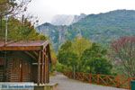 National Park of Olympus near Litochoro | Pieria Macedonia | Photo 4 - Photo JustGreece.com