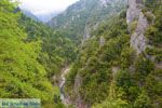 JustGreece.com Enipeas gorge near Litochoro and Olympus | Pieria Macedonia | Greece Photo 4 - Foto van JustGreece.com